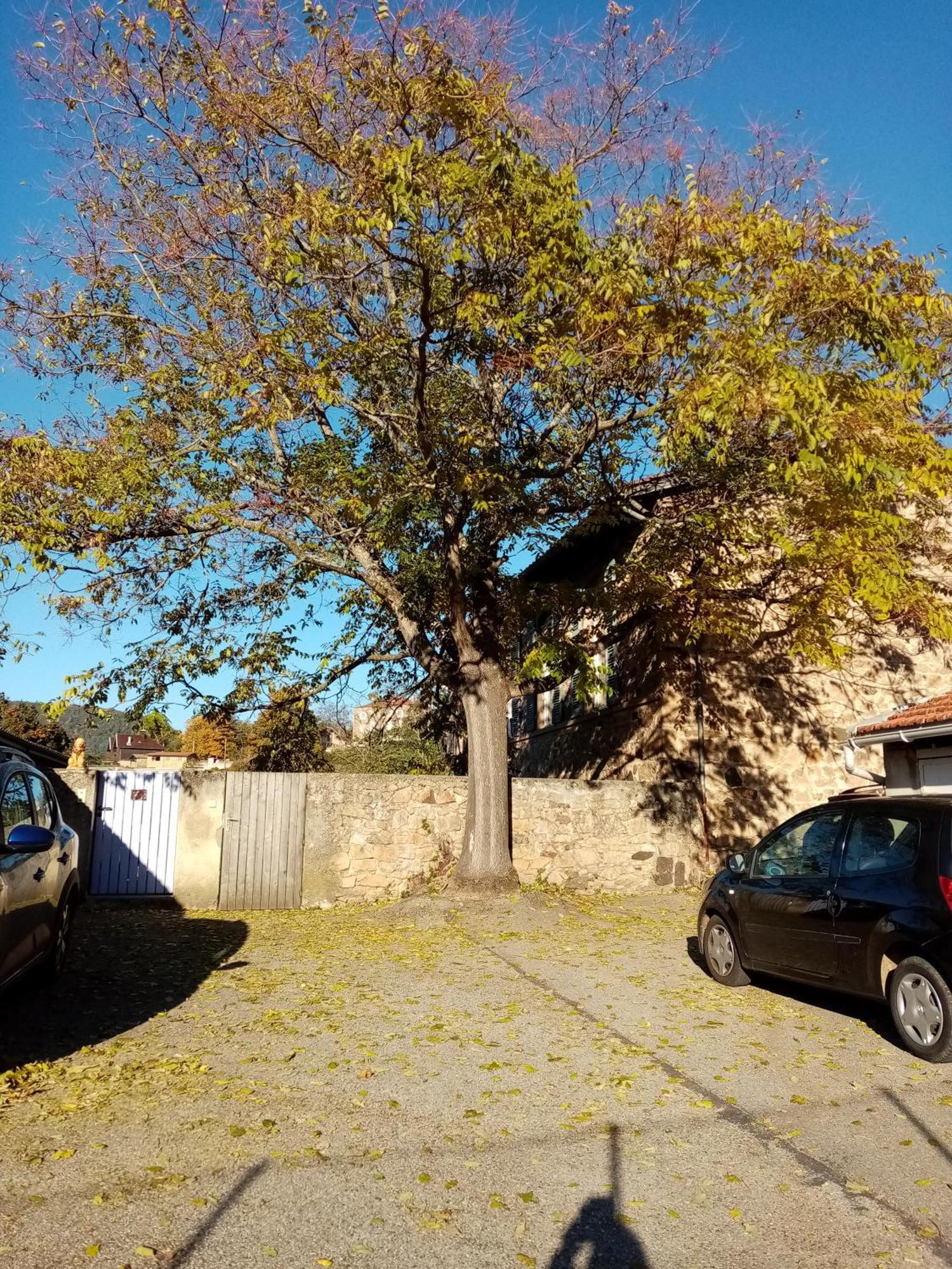 Charmant Gite Avec Parking Gratuit Sur Place. Villa Davézieux Exterior foto